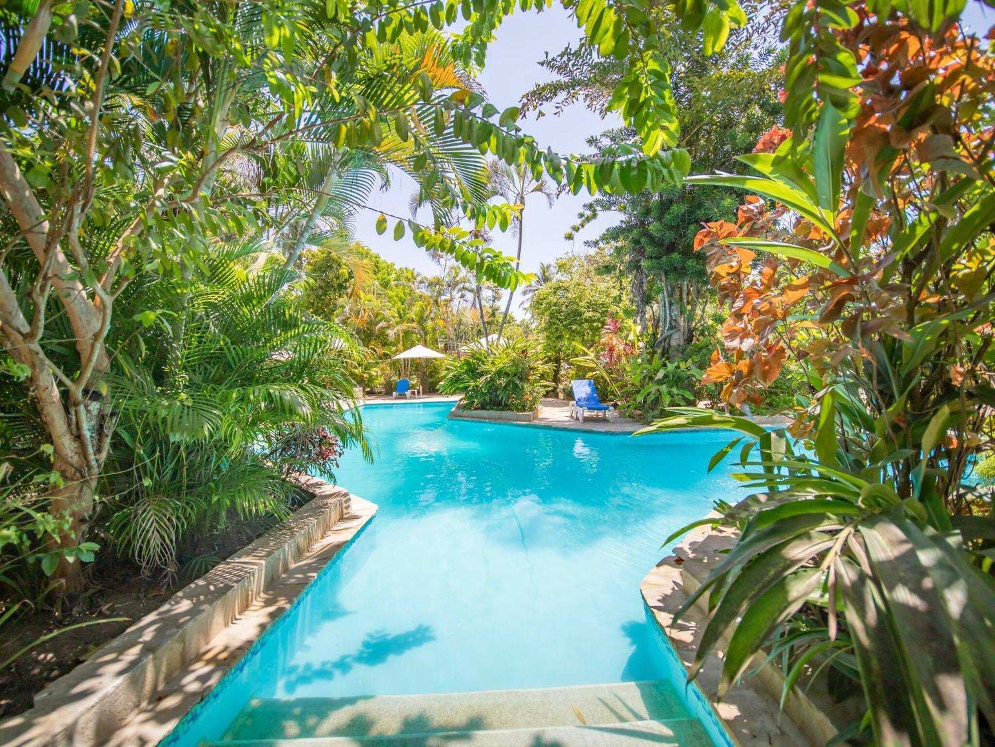 Room In Guest Room - 2Br Caribbean Condo In Cabarete Center Exterior foto